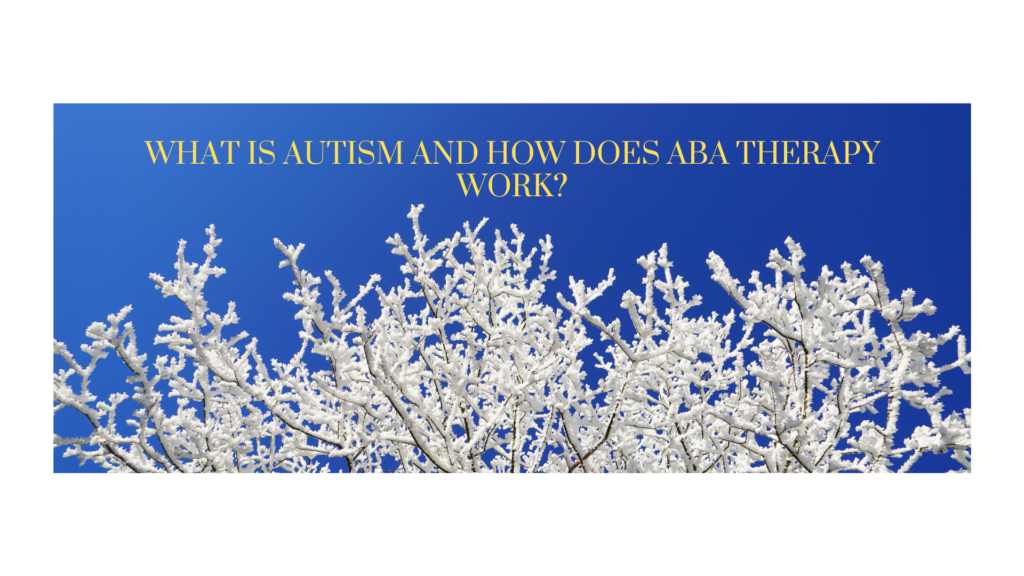 What is Autism and how does ABA therapy work?