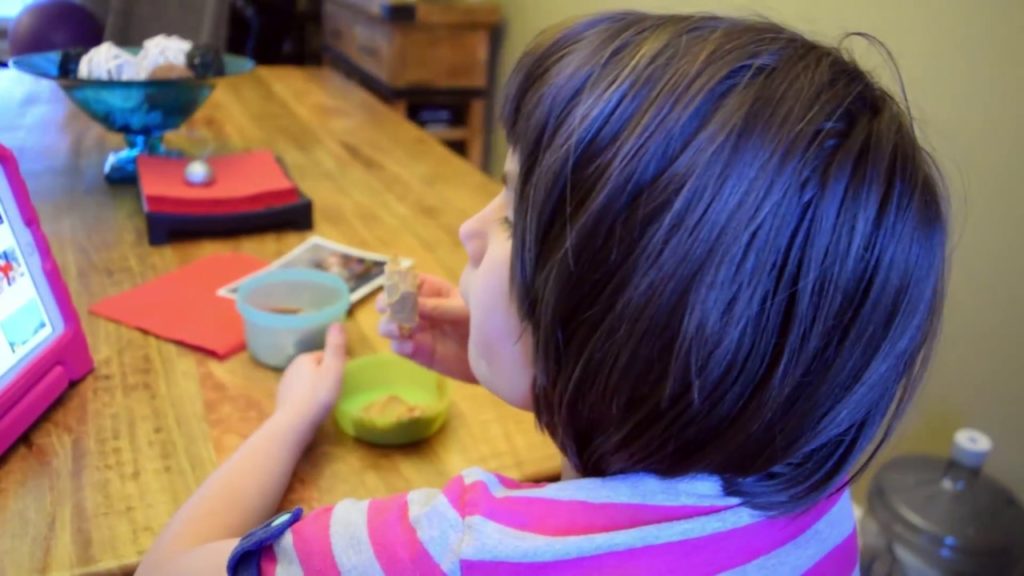 Parenting with DIR and the Play Project