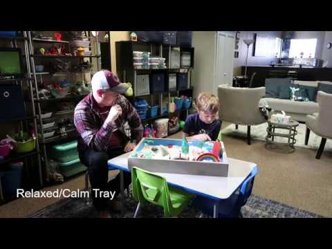 Sand-tray Therapy with Autistic Children for Professionals