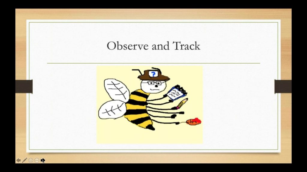Bee on the Wall Presentation by Dr. Megan Aclan, PhD., BCBA-D & Dr. Jose Davila, PhD., BCBA-D