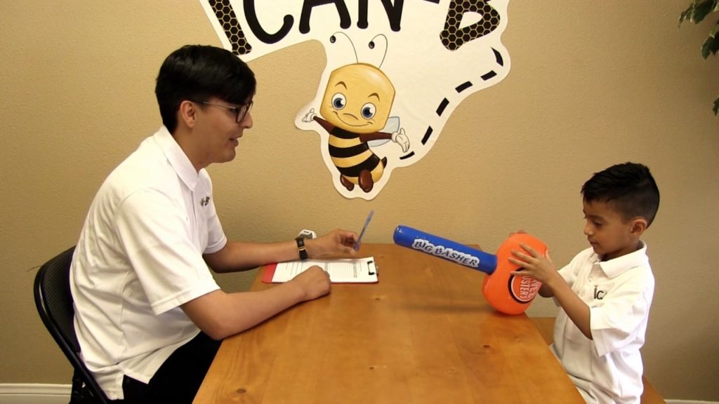 SINGLE STIMULUS (Preference Assessment)