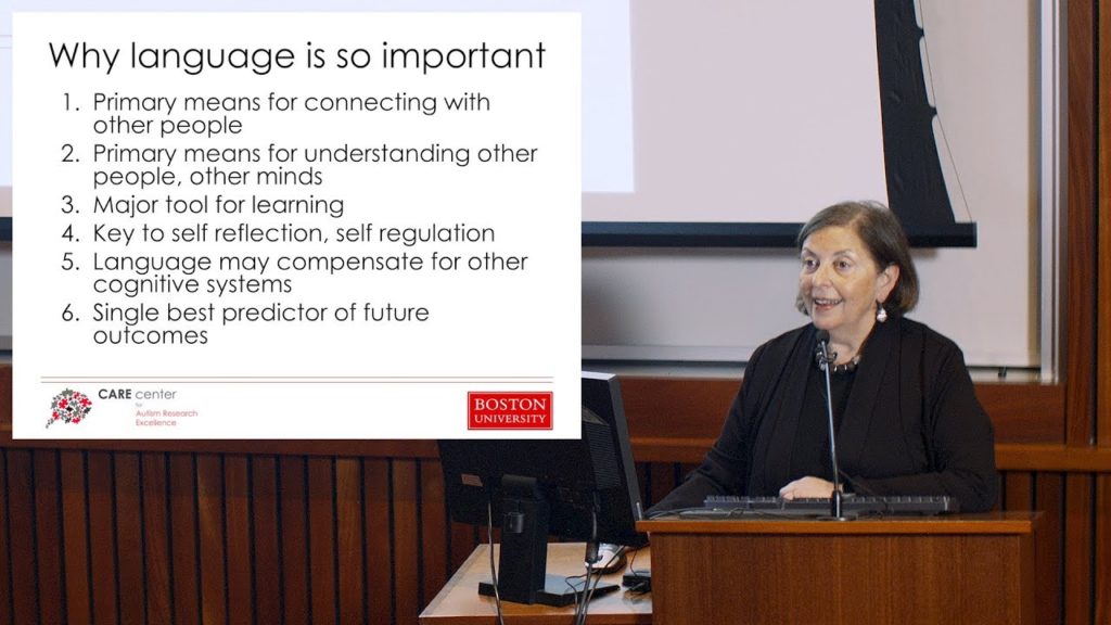 New Approaches to Understanding Language in Autism Spectrum Disorder