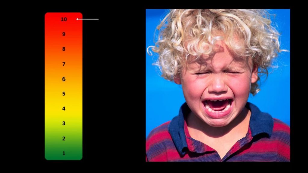 Major Meltdowns: Factors Leading to Emotional Dysregulation in Individuals with ASD