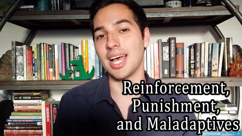 ABA Therapy: Reinforcement, Punishment, and Maladaptive