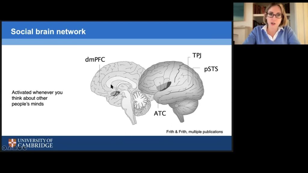 Inside the Teenage Mind: Social Development and the Impact of Isolation