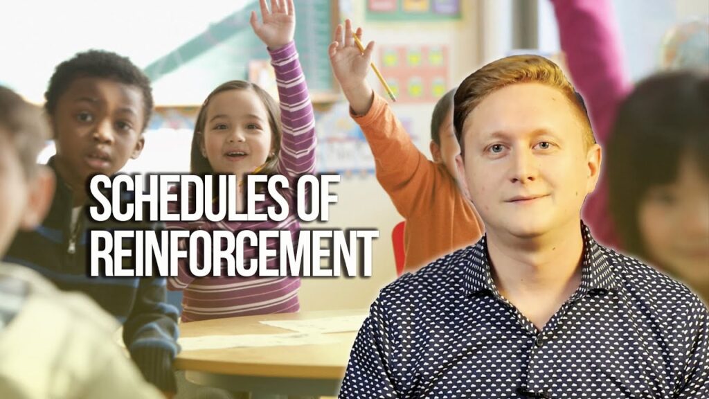 Mastering Motivation: Reinforcement Schedules in Action