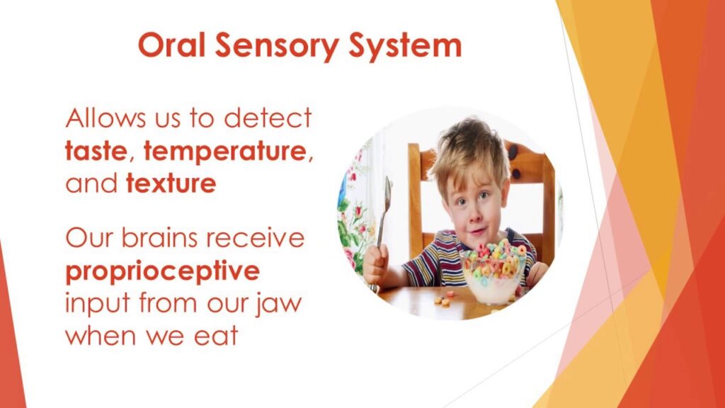 Balance, Focus, Thrive: Easy Sensory Strategies for Kiddos :-