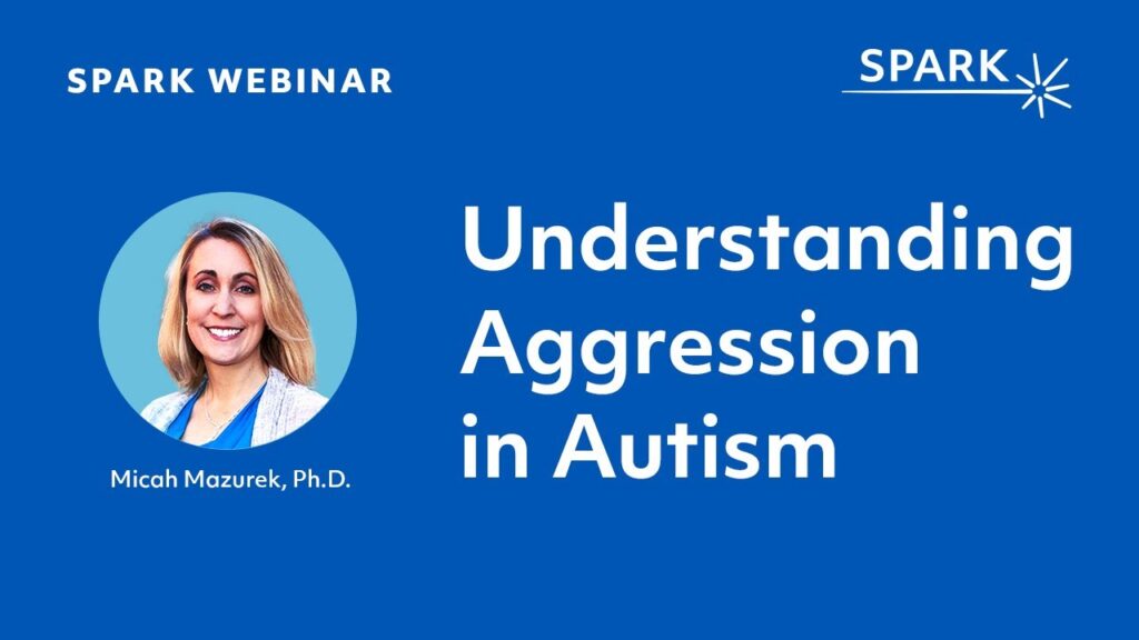 Autism and agression