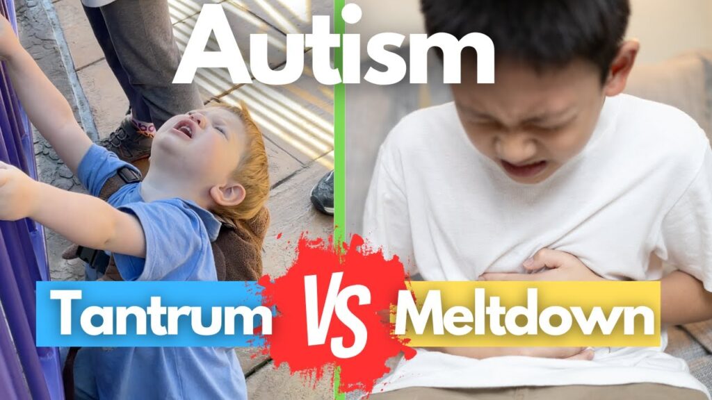 Meltdown vs Tantrum Explained With Real Life Examples.